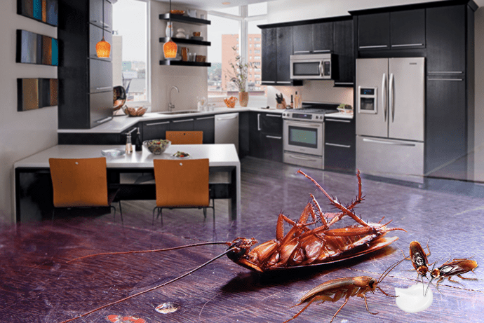 Economical Ways of Remodeling Your Kitchen on Budget