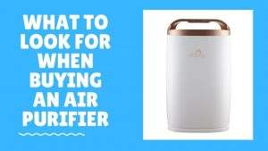 Buying an Air Purifier
