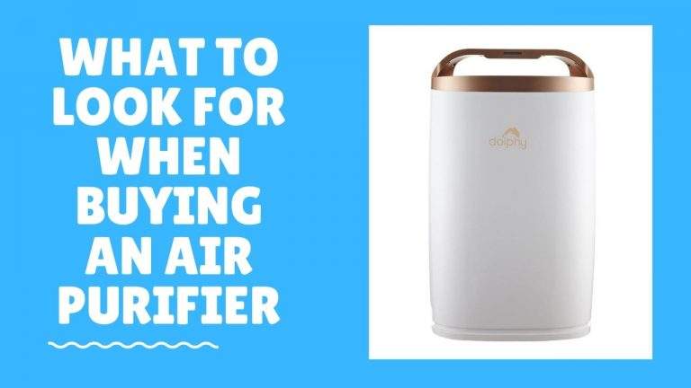 What to Look for When Buying an Air Purifier