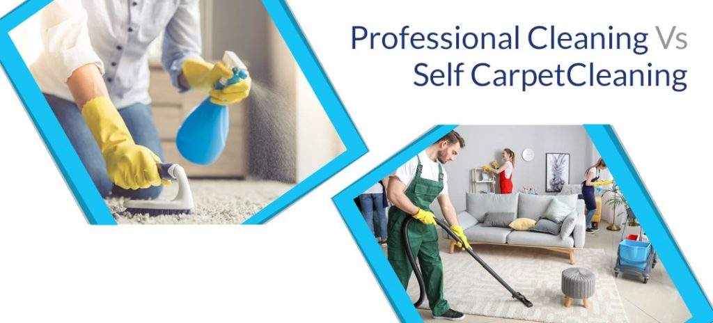 Professional Cleaning Vs Self Carpet Cleaning - Ryan Carpet Cleaning