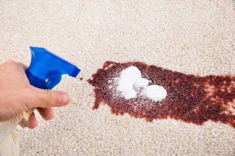 Guide For Carpet Stain Removal  | Cleaning