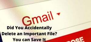 Did You Accidentally Delete an Important File_ You can Save It