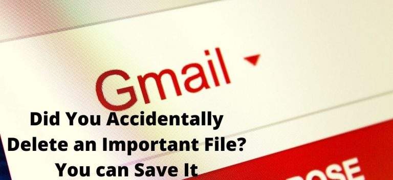 Did You Accidentally Delete An Important File? You can Save It