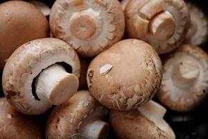 mushrooms eats during pregnancy