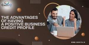 Positive Business Credit Profile