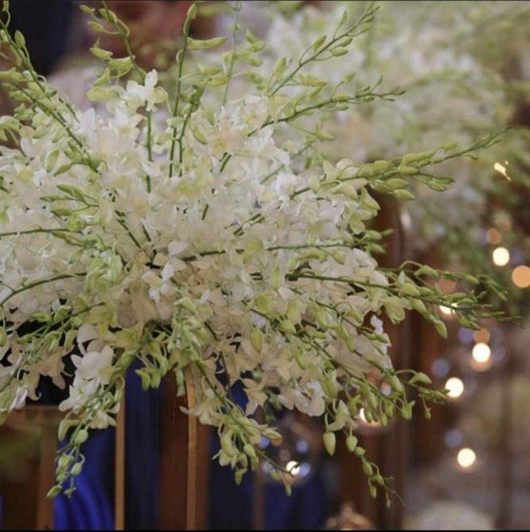 9 Refreshing Ways To Use Plant Decoration for Eid